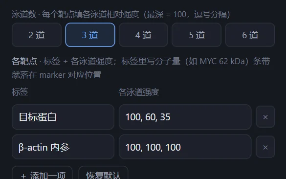 划痕实验模板的目标值设置:0 h、24 h、48 h 三个时间点,目标闭合率分别为 0%、45%、85%